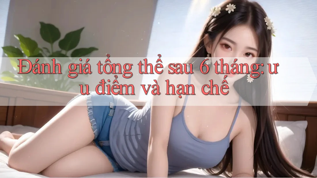 Đánh giá tổng thể sau 6 tháng: ưu điểm và hạn chế