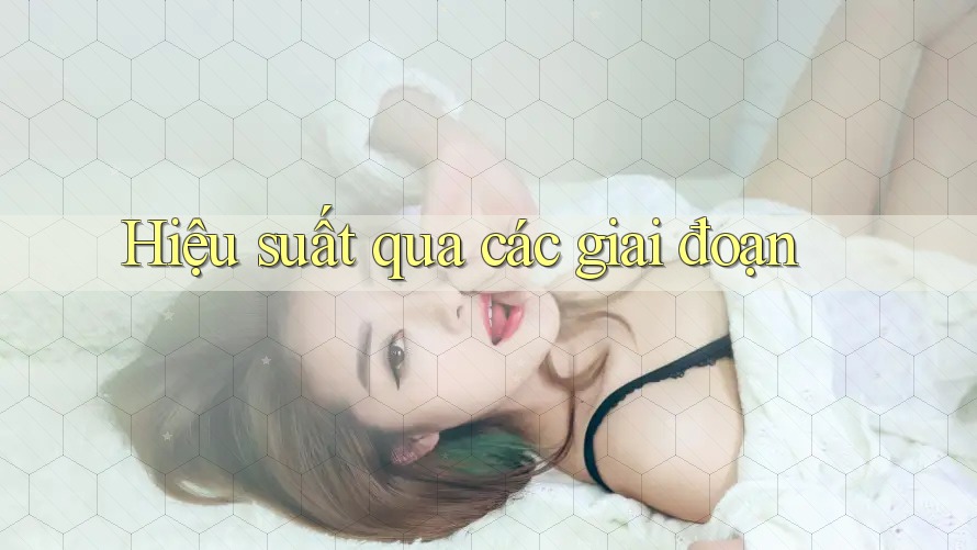 Hiệu suất qua các giai đoạn