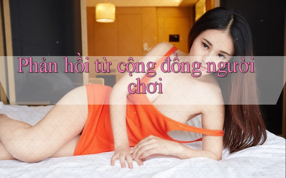 Phản hồi từ cộng đồng người chơi Phản hồi từ cộng đồng người chơi