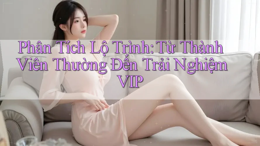 Phân Tích Lộ Trình: Từ Thành Viên Thường Đến Trải Nghiệm VIP Phân Tích Lộ Trình: Từ Thành Viên Thường Đến Trải Nghiệm VIP