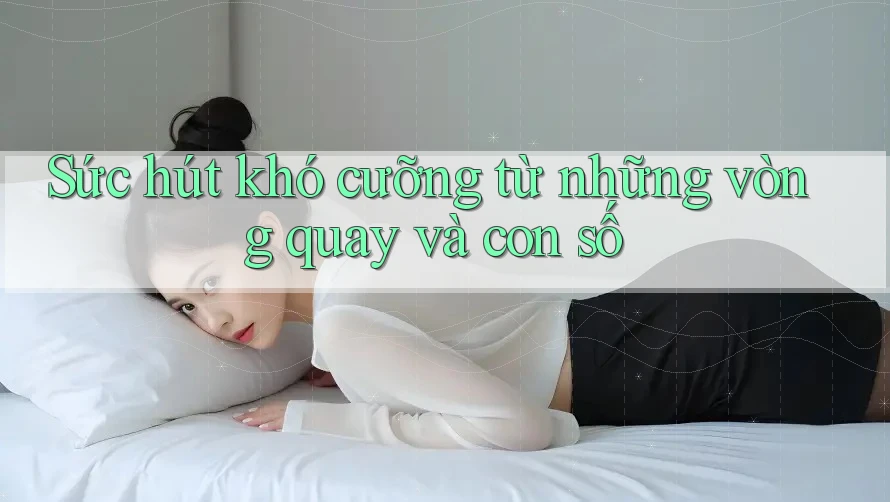 Sức hút khó cưỡng từ những vòng quay và con số Sức hút khó cưỡng từ những vòng quay và con số